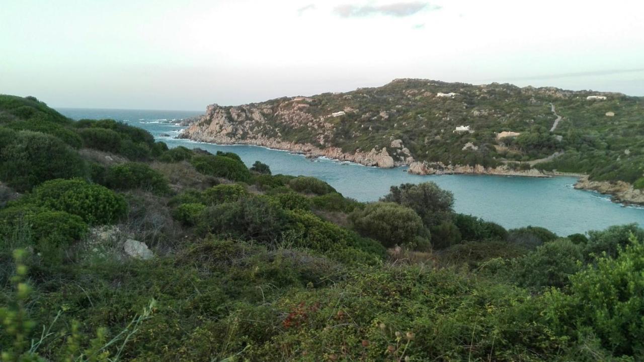 Appartamento In Paese A Santa Teresa Di Gallura Zewnętrze zdjęcie